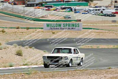 media/May-07-2022-Cobra Owners Club of America (Sat) [[e681d2ddb7]]/White/Session 3 (Turn 3)/